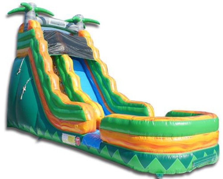 19' Palm Tree Slide